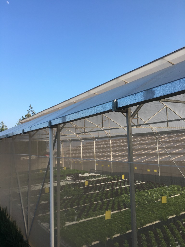 Greenhouse